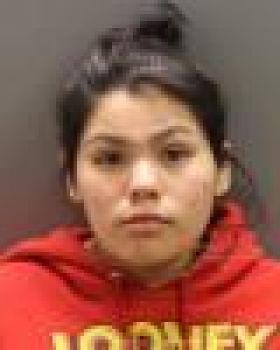 Maria Angeles Morales Mugshot