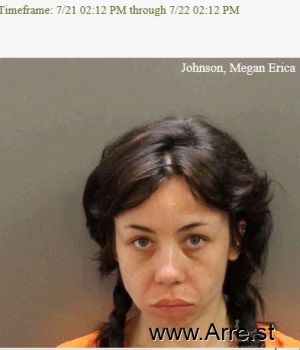 Megan Erica Johnson Mugshot