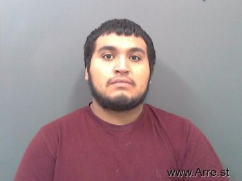 Michael  Mendoza Mugshot