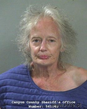 Michelle Gramlich Mortensen Mugshot