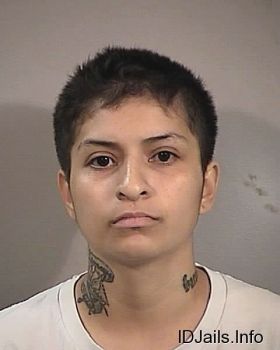 Norma  Garcia Mugshot