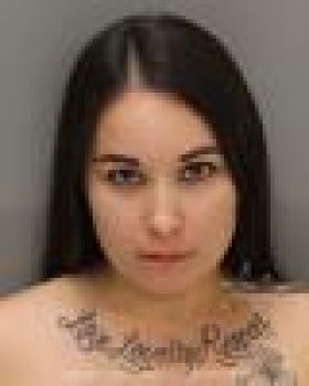 Nikkita Marie Wilson Mugshot