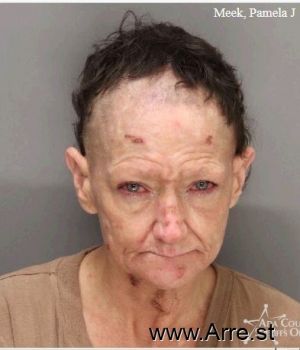 Pamela J Meek Mugshot