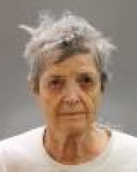 Patricia  Lefavour Mugshot