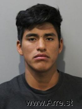 Pedro  Camargo-pomahuali Mugshot