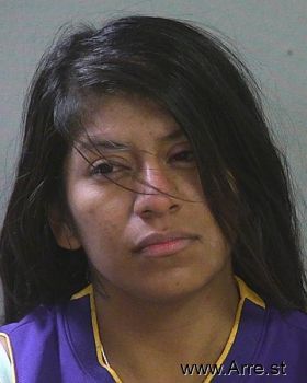 Priscilla Marie Hernandez Mugshot