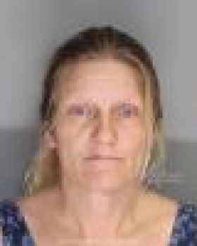 Sherry Lynn Harmon Mugshot