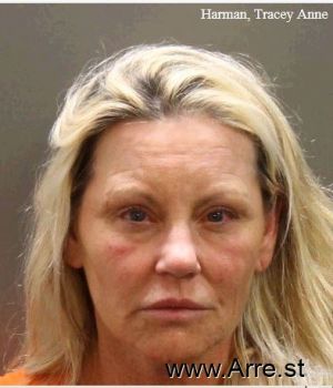 Tracey Anne Harman Mugshot