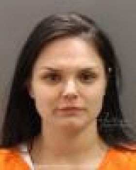 Vanessa Renee Wilson Mugshot