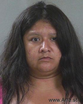 Yvonne Melissa Dehoyos Mugshot