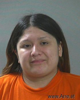 Yvonne Melissa Dehoyos Mugshot