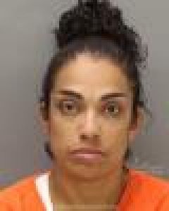 Corina Rivas Arrest Mugshot