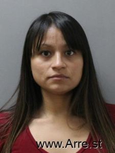 Elia Pacheco Arrest Mugshot