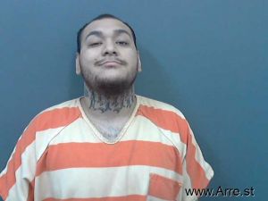 Esteban Castellanos Arrest Mugshot