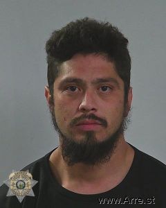Gabriel Perez Arrest