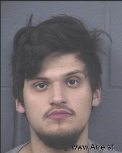 Julio Lizarraga Perez Arrest Mugshot