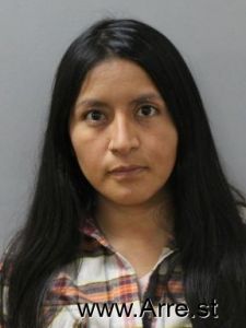 Karola Huaire Arrest Mugshot