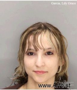 Lily Garcia Arrest Mugshot
