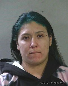 Lourdes Carballedo Arrest Mugshot