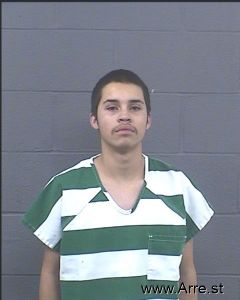 Luis Gonzales Arrest Mugshot