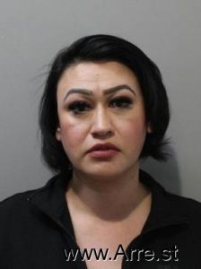 Marlene Perez Arrest Mugshot