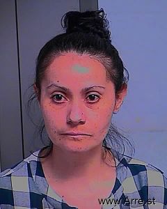 Patricia Arreguin Arrest Mugshot
