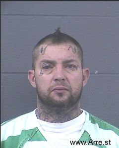 Shane Nichelson Arrest Mugshot