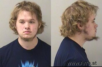 Aaron L Brandon Mugshot