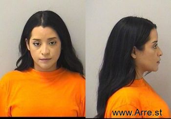 Alicia J Ortiz Mugshot