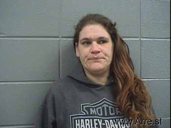 Amanda S Williams Mugshot