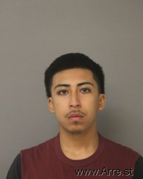 Anthony  Alvarez Mugshot