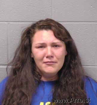 Ashley M Johnson Mugshot