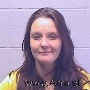 Brandi D Anderson Mugshot