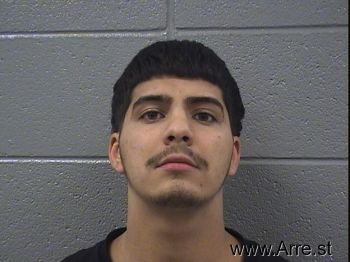 Brandon  Luna Mugshot