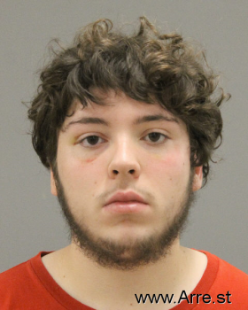 Brandon Dylan Mitchell Mugshot