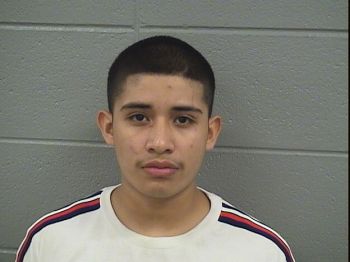 Brandon  Pichardo Mugshot