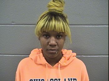 Brittany  Johnson Mugshot