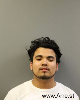 Carlos  Delgado Mugshot