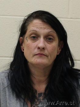 Christy Lyn Gustafson Mugshot