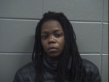 Danielle  Johnson Mugshot