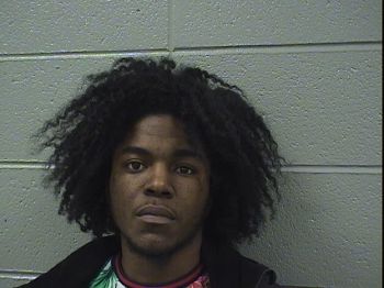 Dominique  Ware Mugshot