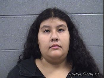 Elizabeth  Diaz Mugshot