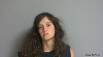 Haley J Wollack Mugshot