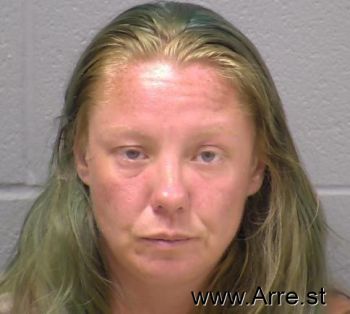 Heather E Chaney Mugshot