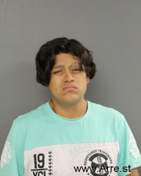 Ismael  Gonzalez-diaz Mugshot