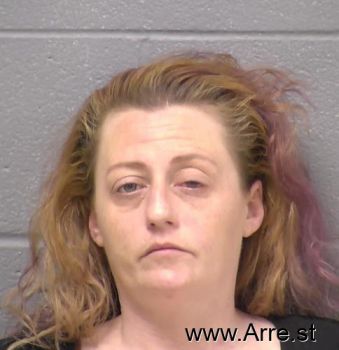 Jamie Nicole Willard Mugshot