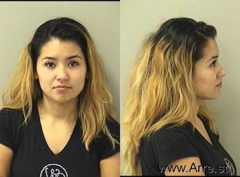 Jennifer Yuridia Gutierrez-agular Mugshot