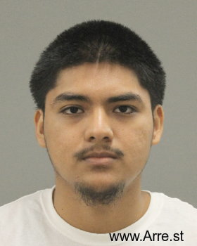 Joel Nmn Gonzalez Mugshot