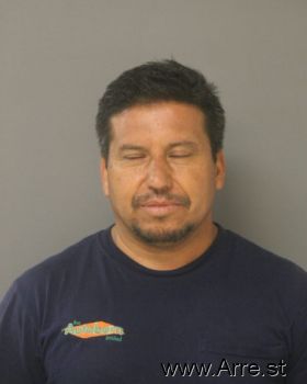 Jose  Patino Mugshot