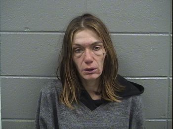 Julie  Perez Mugshot